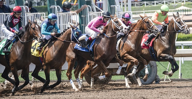 Horse Racing is a popular sport in many countries that people bet on.