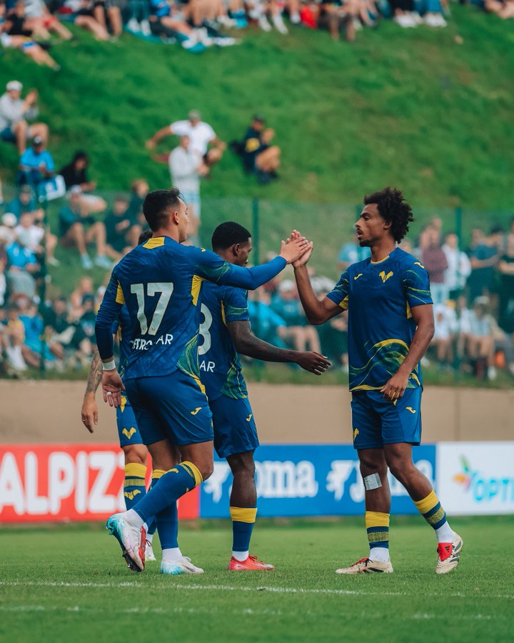 ⚽ Verona vs Virtus Verona: 6-0 Result and Highlights