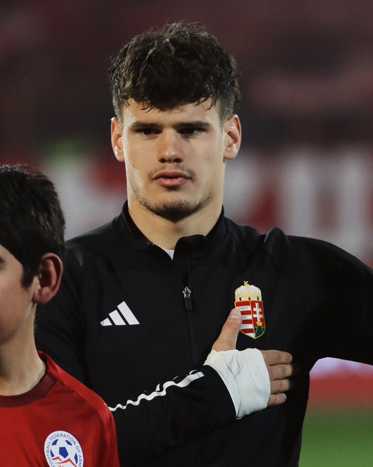 Hungary Defeats Armenia to Boost World Cup Hopes