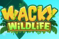 Wacky Wildlife Slot Kenya – Play Wacky Wildlife Online for Real Money and Big Wins
