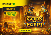 Master the Reels: A Guide to Gods of Egypt on Bangbet Nigeria and the Aviator Advantage