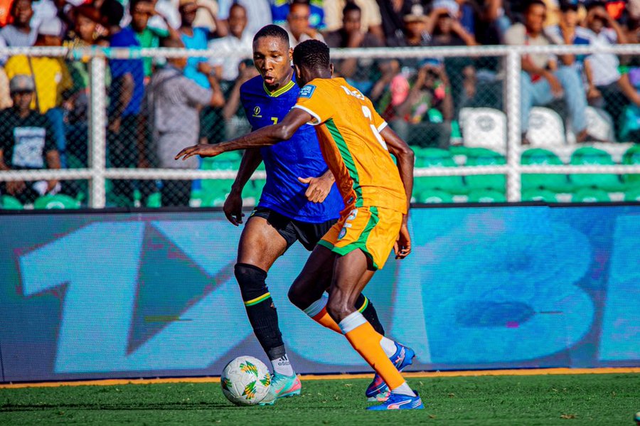 Niger Stun Tanzania 1-0 in World Cup Qualifier
