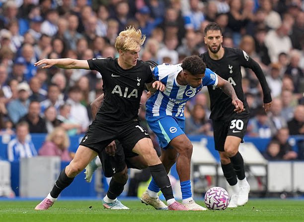 Tottenham Hotspur Fight Back to Hold Brighton in a Thrilling 2-2 Draw