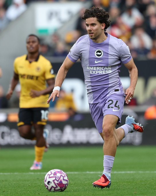 Wolves Drop Points Again as Brighton Snatch Late Draw