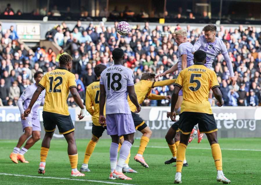 Wolves Drop Points Again as Brighton Snatch Late Draw