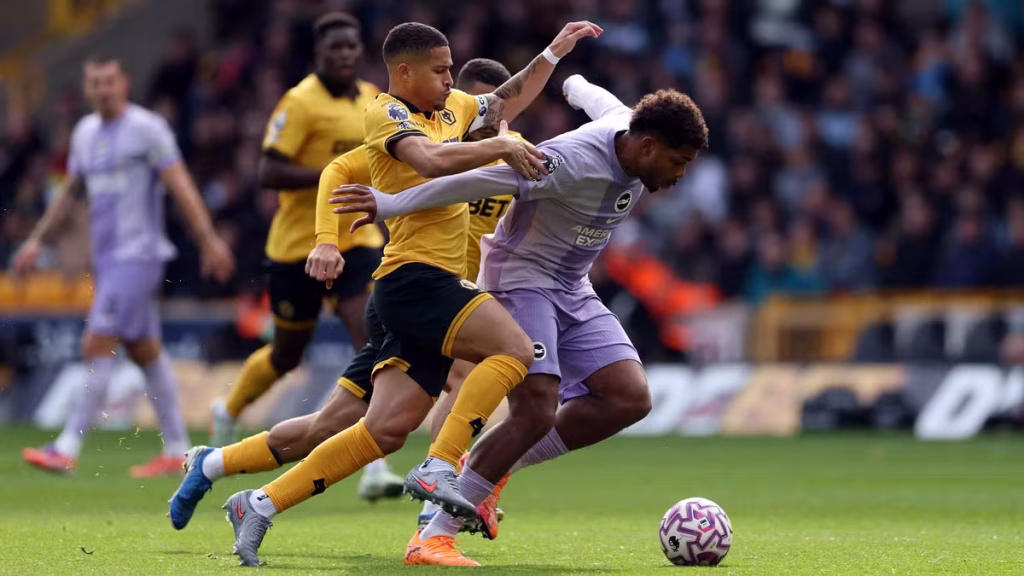 Wolves Drop Points Again as Brighton Snatch Late Draw