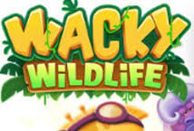 Wacky Wildlife Slot Tanzania – Cheza Online na Ushinde Pesa Halisi
