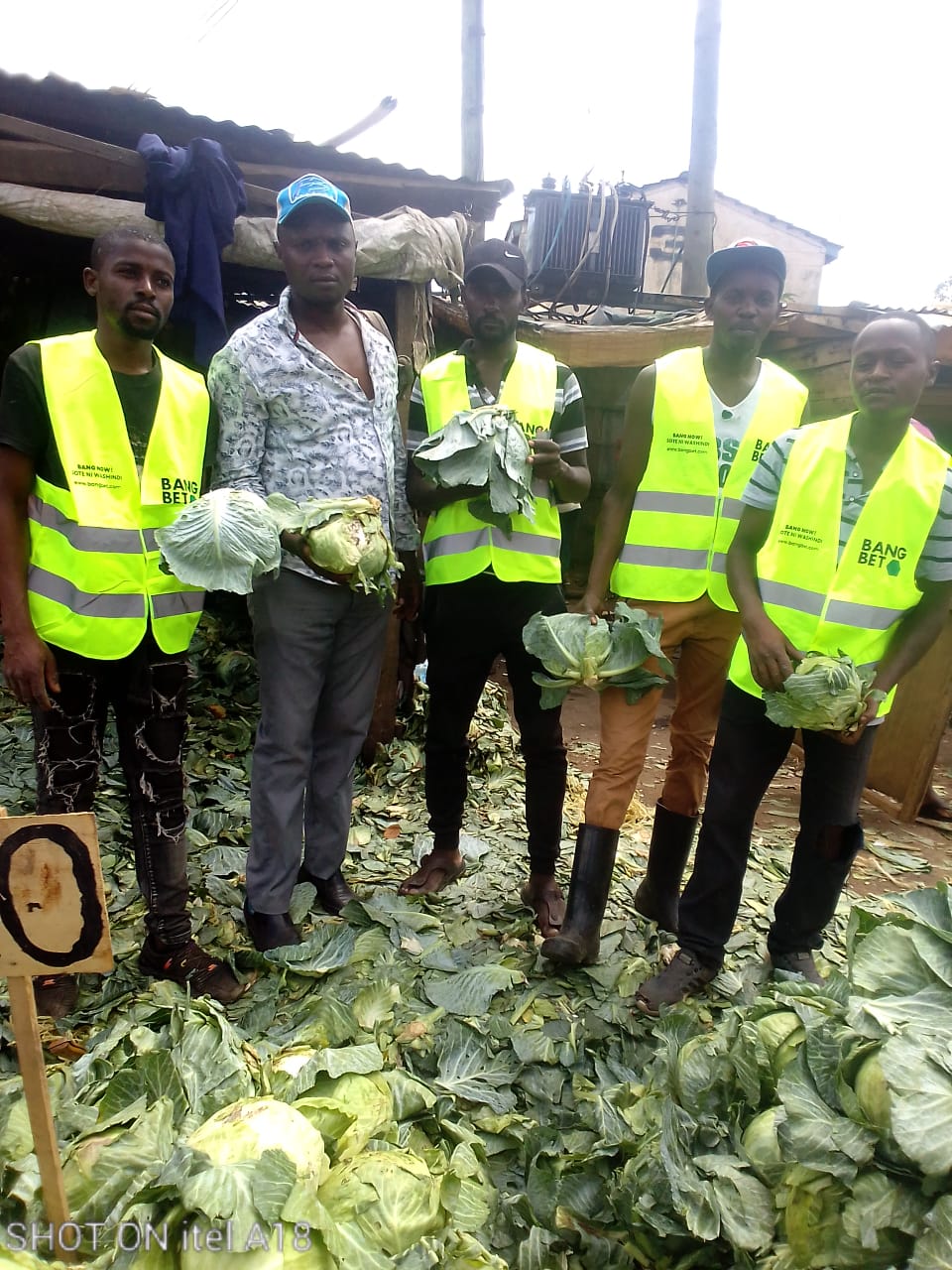 Reflective Vests Impact Analysis: Enhancing Safety Across Diverse Communities