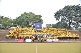 theplayer team