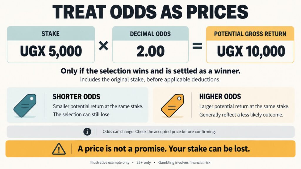 Illustration explains decimal odds, potential gross returns and the risk of losing a stake.
