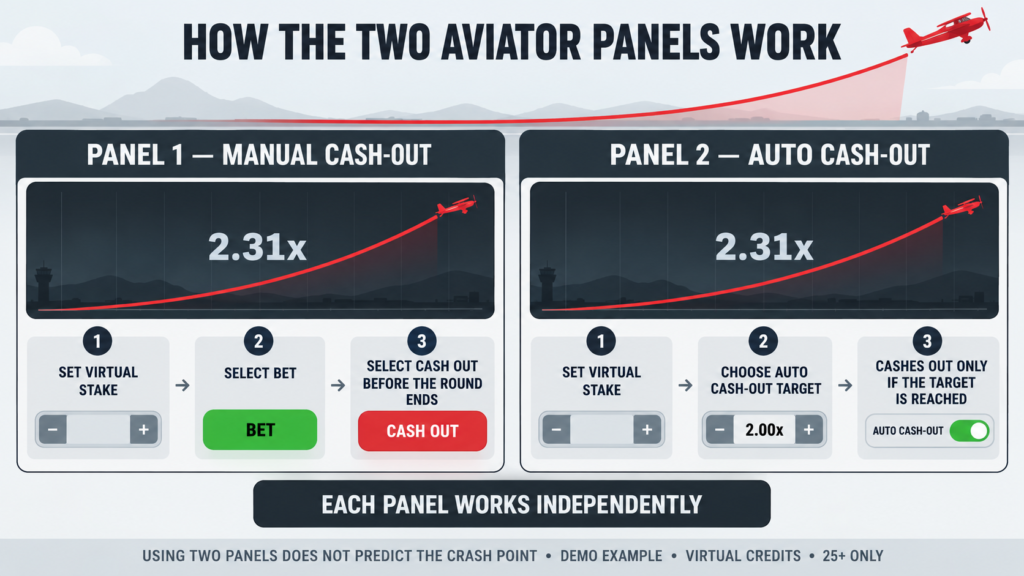 Neutral diagram explaining two independent Aviator betting panels.